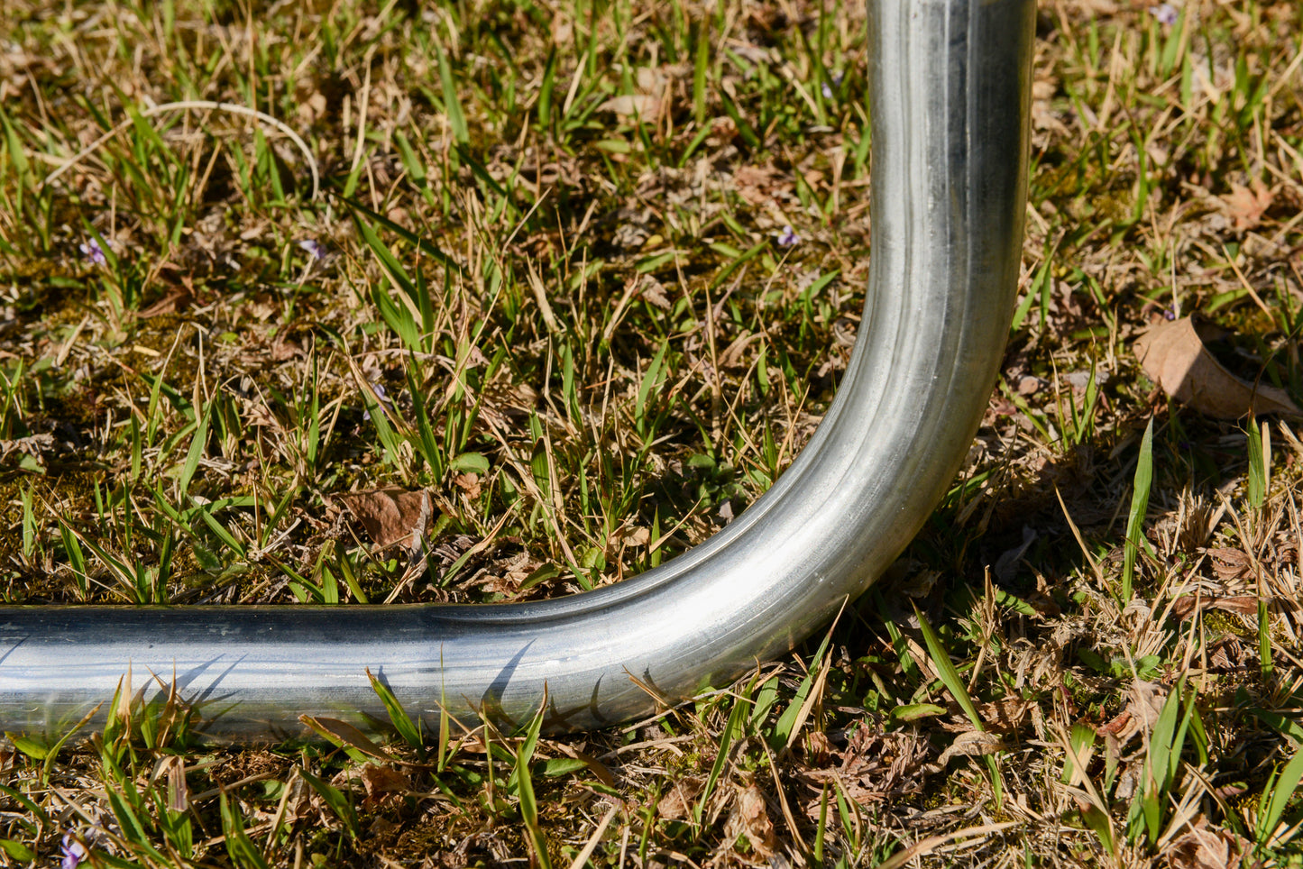 Jump & Dunk Trampoline with Safety Net!