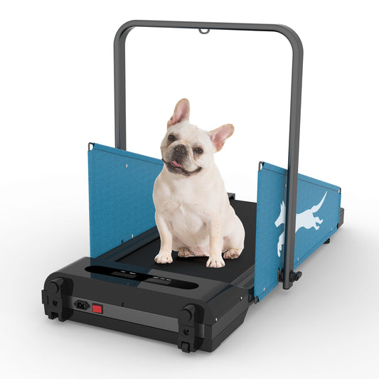 Pet Pacer Treadmill: Fit Fun for Small & Medium Dogs